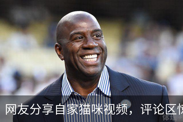 网友分享自家猫咪视频，评论区惊呼：它的头怎么了？